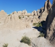 2018 07 SD 046